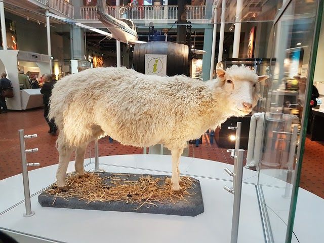 Muzium Kebangsaan Scotland